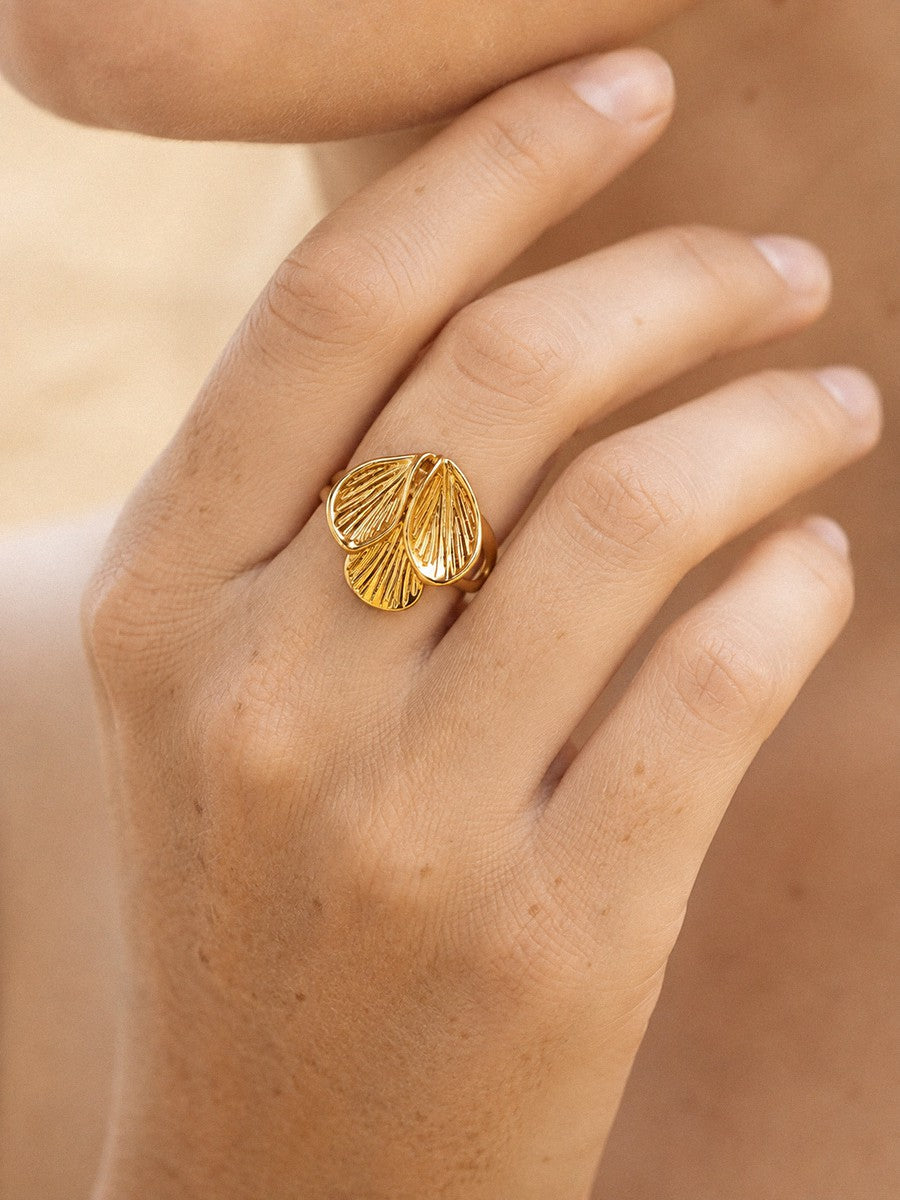 Anillos